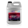 impact-bloom-b-10l