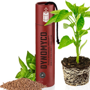 DNAMITE STICK
