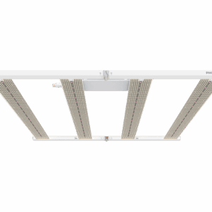 PHOTOBIO MX2 LED, 680W, 100-277V S4 w/ iLOC