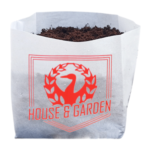 MACETA COCO HOUSE & GARDEN